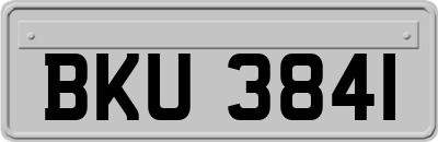 BKU3841