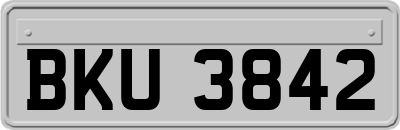 BKU3842