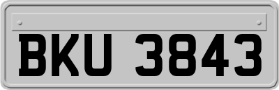 BKU3843