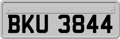 BKU3844