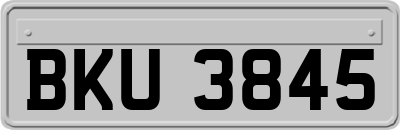 BKU3845