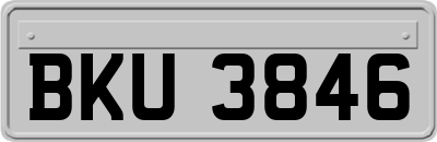 BKU3846