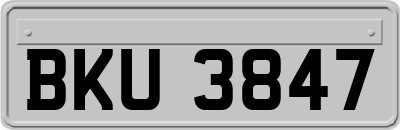 BKU3847