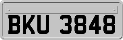 BKU3848