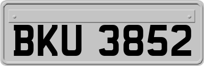 BKU3852