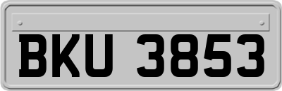BKU3853