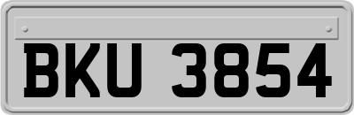 BKU3854