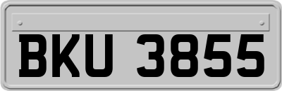 BKU3855