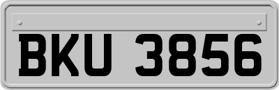 BKU3856