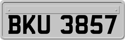 BKU3857