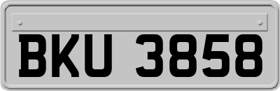 BKU3858