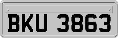 BKU3863