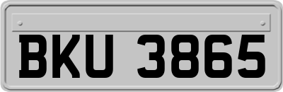 BKU3865