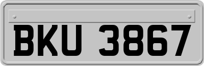 BKU3867