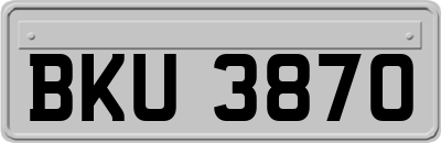 BKU3870