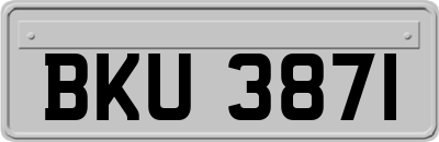 BKU3871