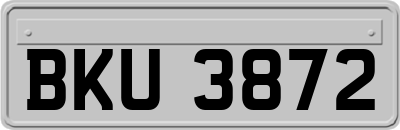 BKU3872