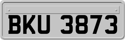 BKU3873