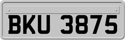 BKU3875