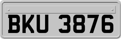 BKU3876