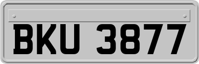 BKU3877