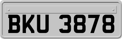 BKU3878