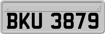 BKU3879