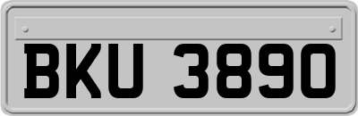 BKU3890