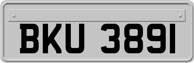 BKU3891