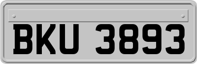 BKU3893