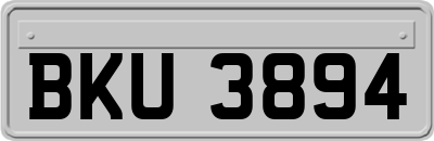 BKU3894