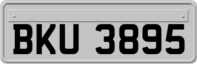 BKU3895