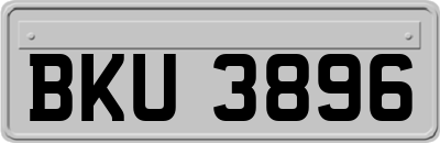 BKU3896