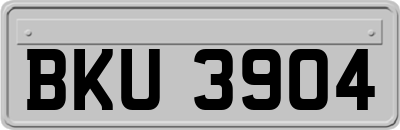 BKU3904