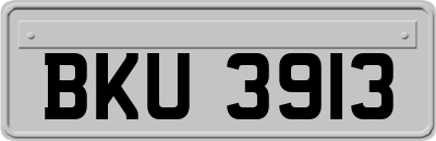 BKU3913