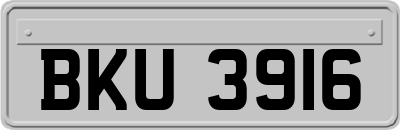 BKU3916