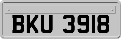 BKU3918