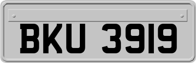 BKU3919