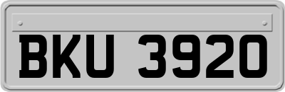 BKU3920