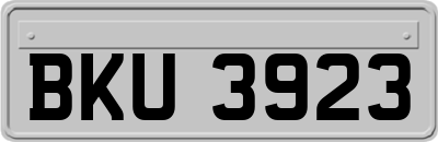 BKU3923