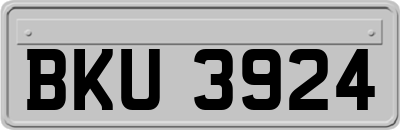 BKU3924