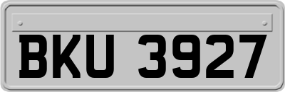 BKU3927