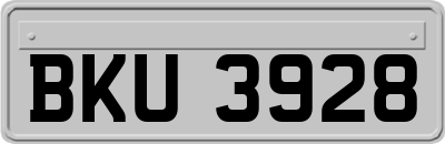 BKU3928