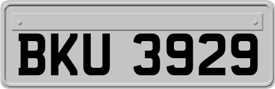 BKU3929