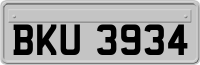 BKU3934