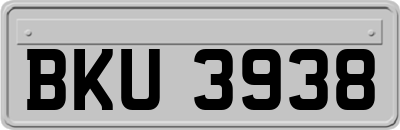 BKU3938
