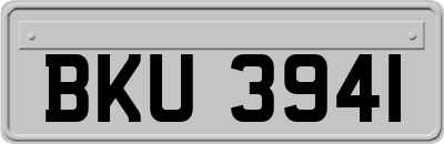 BKU3941