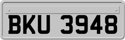 BKU3948