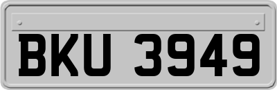 BKU3949