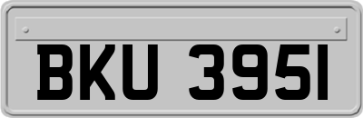 BKU3951